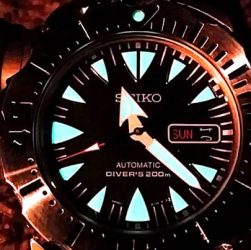 Seiko Monster